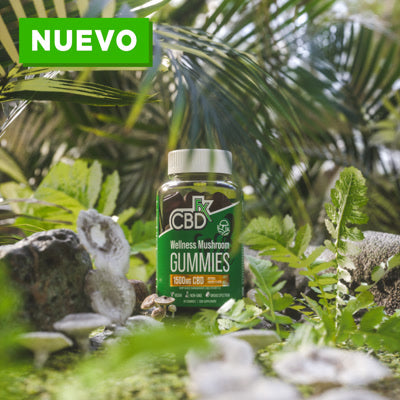 Gomitas con hongo de cordyceps y CBD.