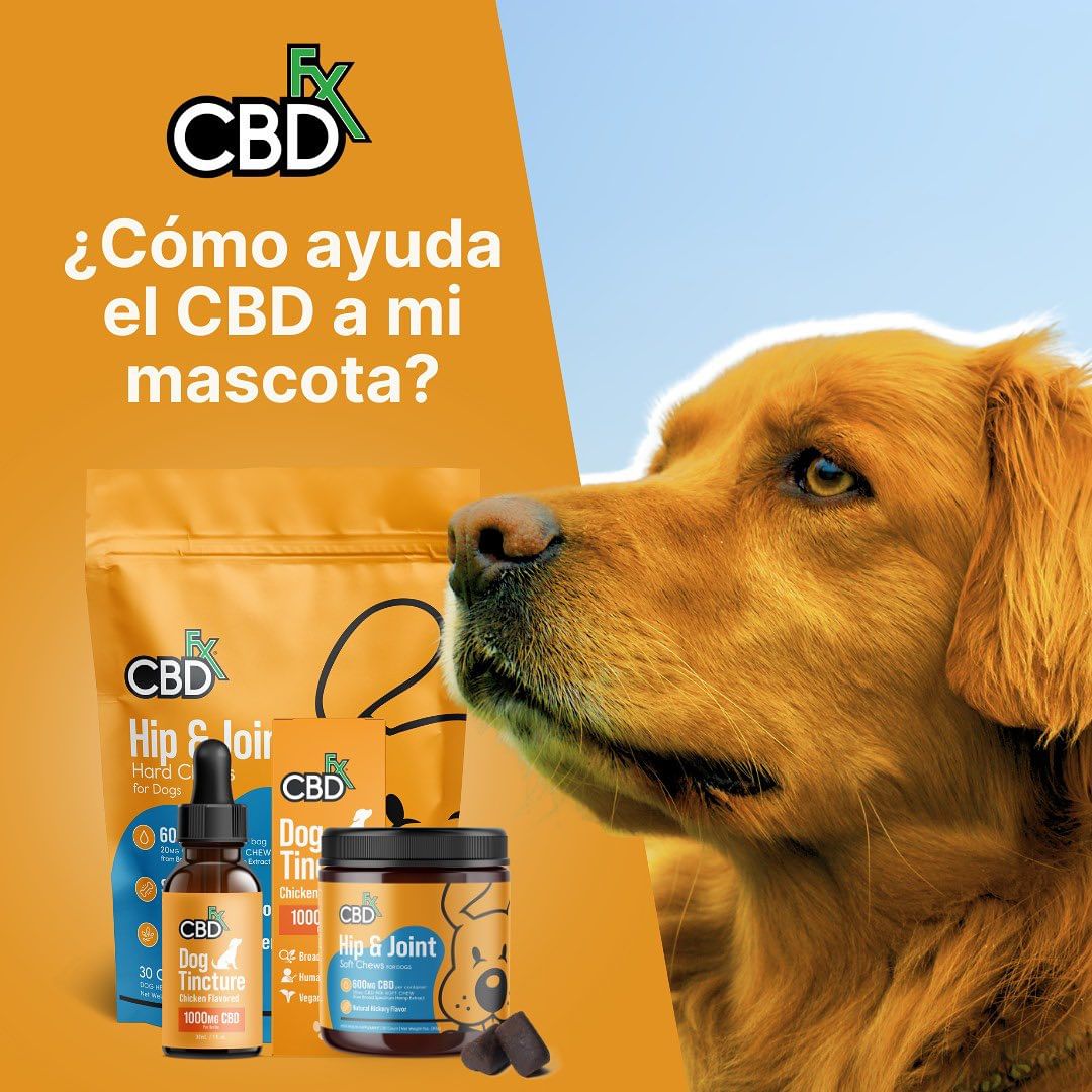 Aceite de CBD para perros: ¿Existen gotas de CBD para perros?