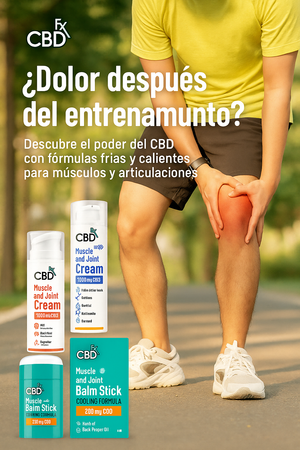 La ciencia detrás de cómo funcionan los tópicos de CBD en el cuerpo.