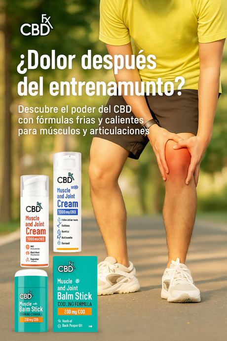 La ciencia detrás de cómo funcionan los tópicos de CBD en el cuerpo.