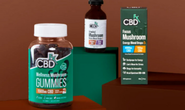 HONGOS MÁGICOS: MEJOR SALUD CON CBD Y HONGOS