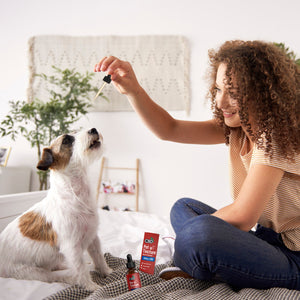 Cómo el CBD puede mejorar la calidad de vida de tu mascota