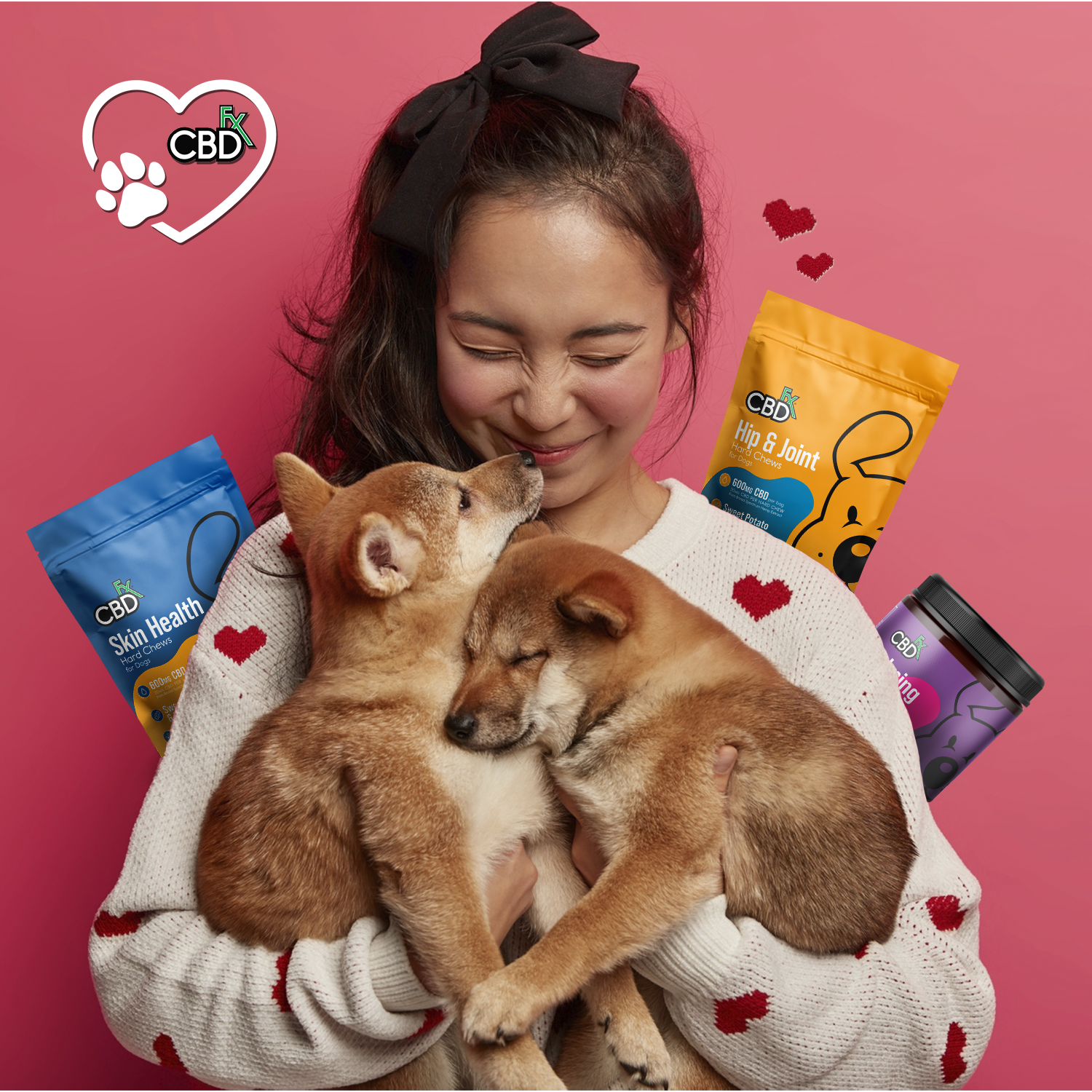CBD para Perros: ¿Deberías Usar Premios con CBD para Tu Mascota?