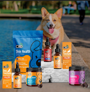 CBD para Perros: Guía Completa de Compra